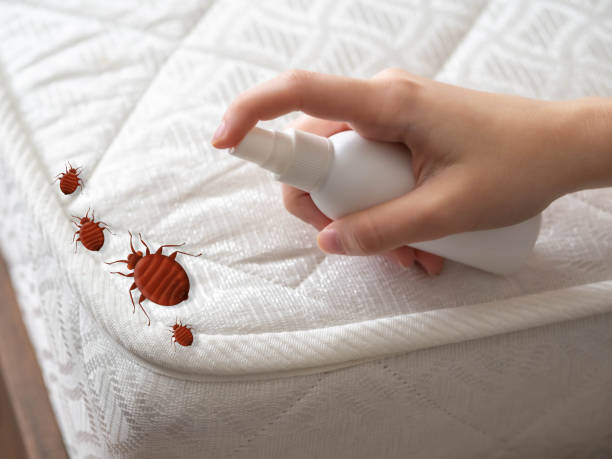 Best Emergency Pest Control  in Bally, PA